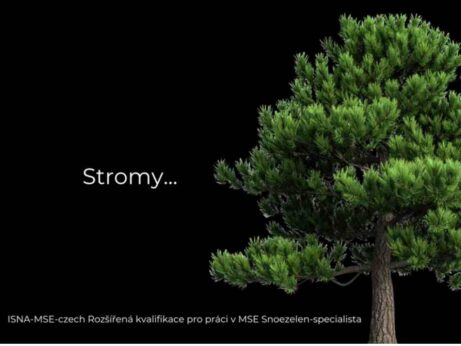 Dagmar Mega lektorka a&nbsp;koučka, ISNA-MSE czech www.dagmarmega.cz