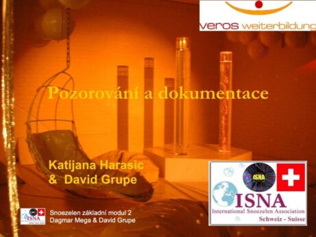 Dagmar Mega lektorka a&nbsp;koučka, ISNA-MSE czech www.dagmarmega.cz