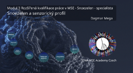 Dagmar Mega lektorka a&nbsp;koučka, ISNA-MSE czech www.dagmarmega.cz Rozsirena kvalifikace Snoezelen - Specialista Modul 3