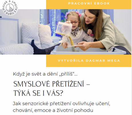 Dagmar Mega lektorka a&nbsp;koučka, ISNA-MSE czech www.dagmarmega.cz Rozsirena kvalifikace Snoezelen - Specialista Modul 3